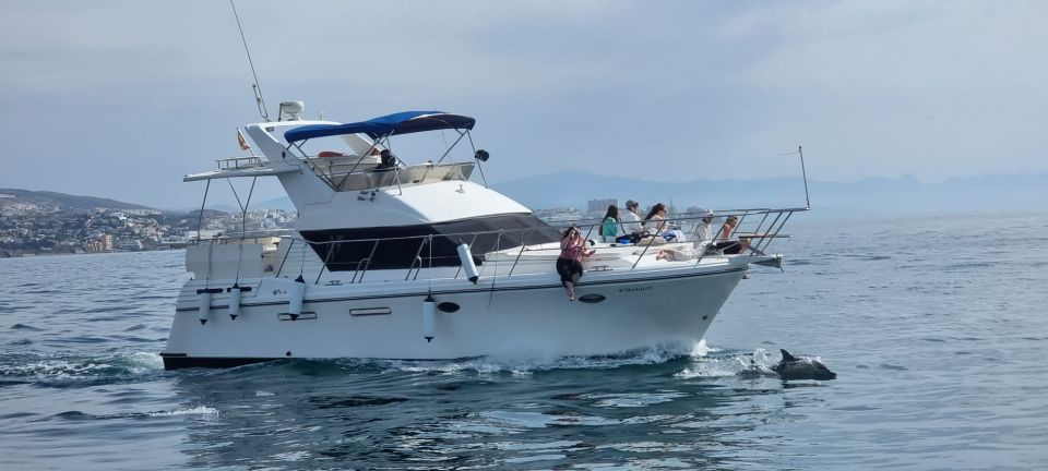 Fuengirola dolphin Spotting Yacht
