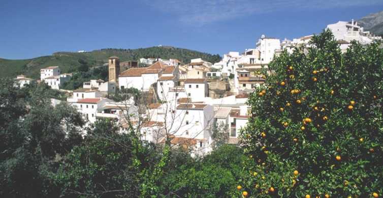 Excursion from Marbella to Axarquia Wine Tour