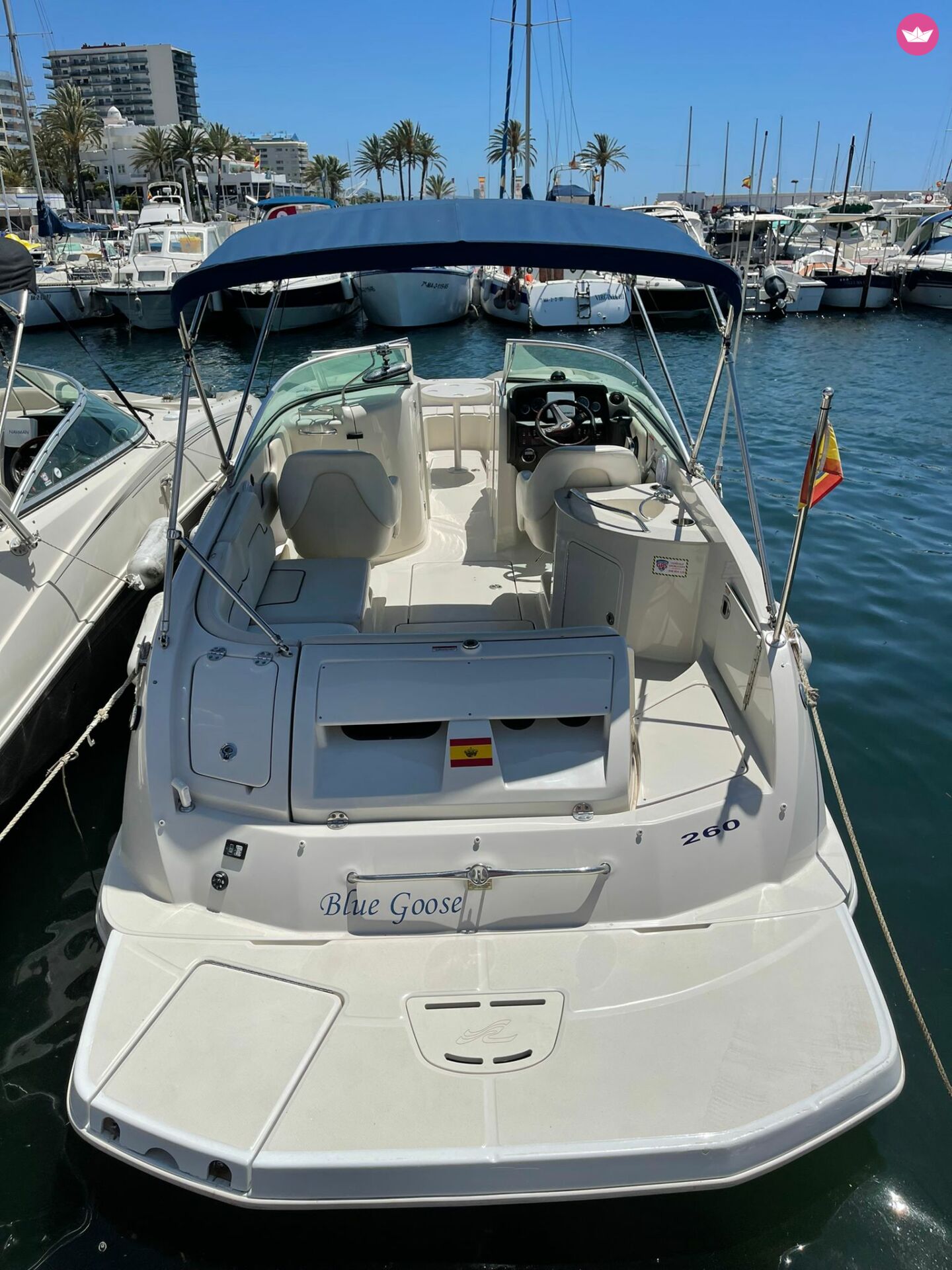 SEA RAY 260 - Image 4
