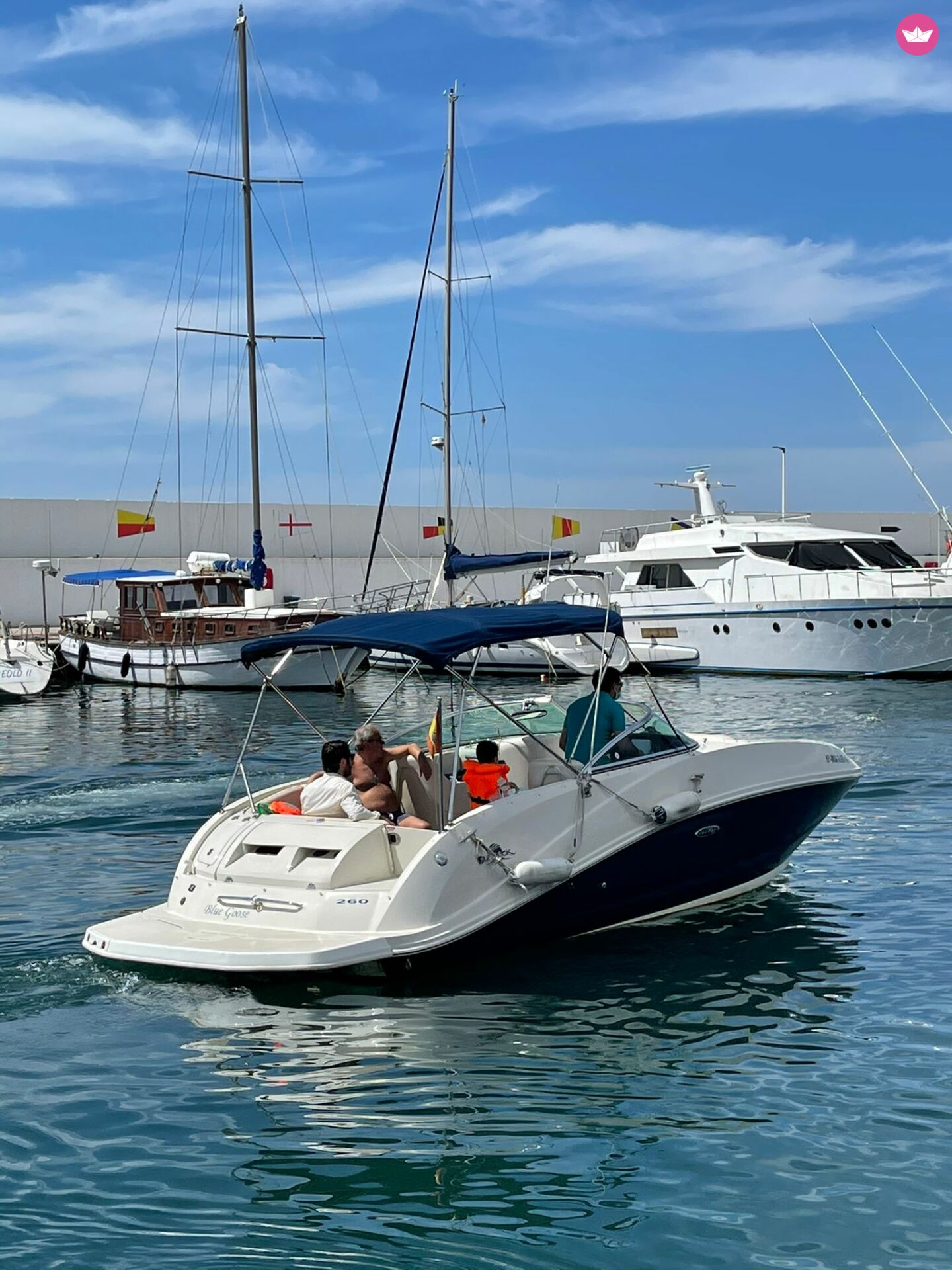 SEA RAY 260 - Image 6
