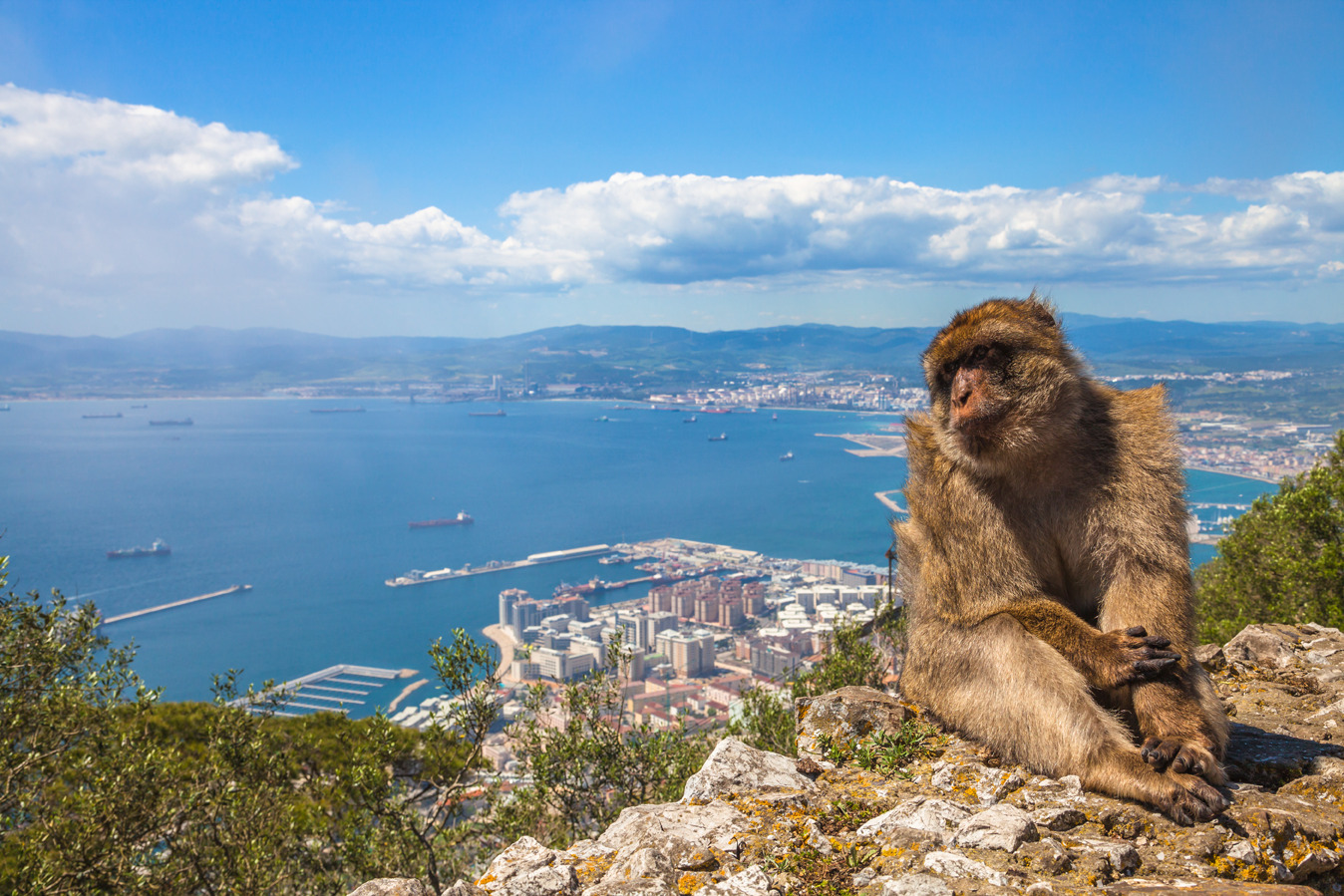 Excursion from Malaga to Gibraltar